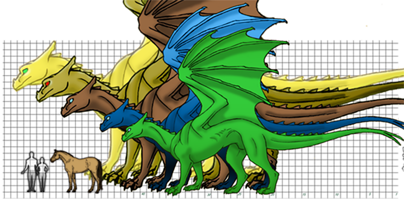 Triad Dragon Sizes